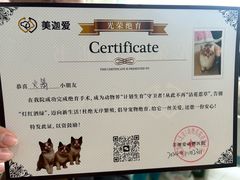 -美迦爱-牙专科·兔科·骨科诊疗中心(北苑店)