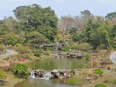 -东莞植物园