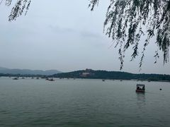 -山妹子铁锅炖