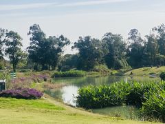 -两河城市森林公园
