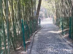 -四门塔风景区
