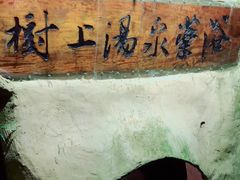 -天门沟九州驿站树上汤泉