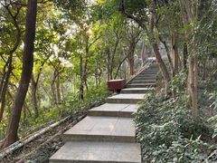 -小南山公园