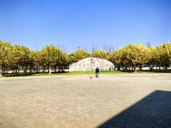 -上海海湾国家森林公园