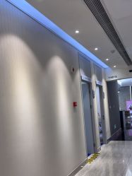 -上海首尔丽格医疗美容医院