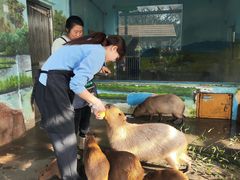 -大连森林动物园