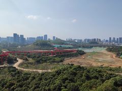 -光明小镇欢乐田园