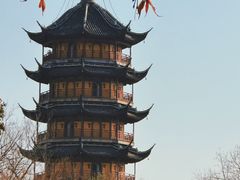 -红梅公园