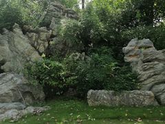 -合肥滨湖国家森林公园