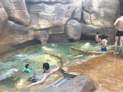 -杭州开元森泊度假乐园