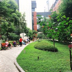 -重庆市妇幼保健院(冉家坝院区)