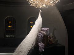 -滇野云南野生菌餐厅(陕西南路店)