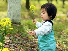 -上海浦江郊野公园-5号停车场