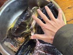 -好灶头妈妈菜·柴火灶台鱼·千岛湖土菜地标美食