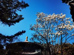 -潭柘寺景区