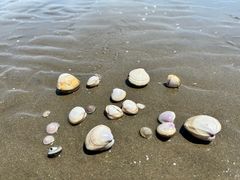 -启东黄金海滩景区