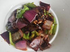 -一撮毛美食城(全力一路店)