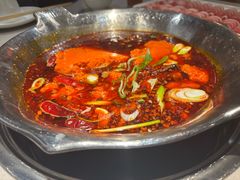 -渝大龙重庆火锅(温泉月亮湾店)