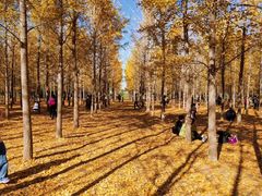 -汉景帝阳陵博物院