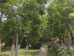 -南翠屏公园
