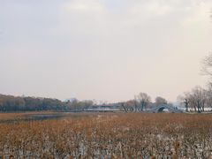 -长春市南湖公园