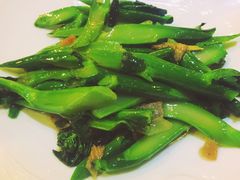-金穗园·砂锅粥.醉鸡煲火锅(长寿路店)