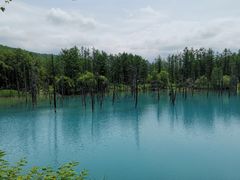 -富田农场