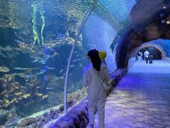 -华夏文旅海洋公园