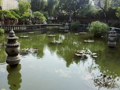 -碧江金楼
