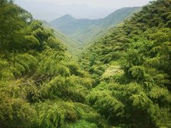 -莫干山风景区