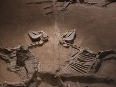 -洛阳周王城天子驾六博物馆