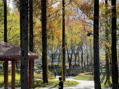 -宁波儿童公园(鄞州区)