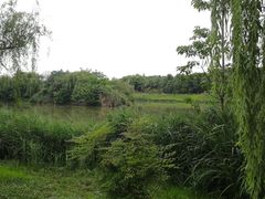 -白鹭湾湿地公园