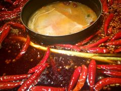 -蜀大侠火锅(建设路第五大道店)