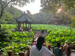 -房湖公园