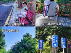 -银湖山郊野公园-相思林