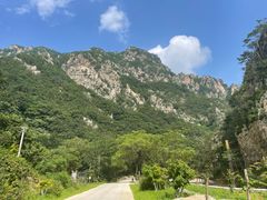-大连天门山国家森林公园