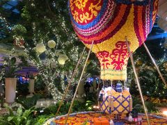-拉斯维加斯O秀
