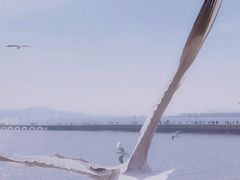 -栈桥景区