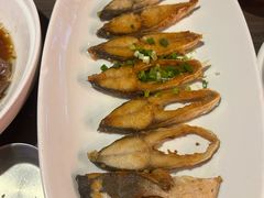 -陈鹏鹏潮汕菜(世界之窗店)