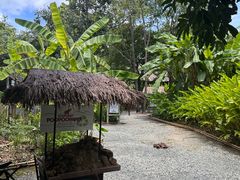 -大象粑粑造纸公园