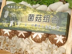-鼎膳常火锅(华阳店)
