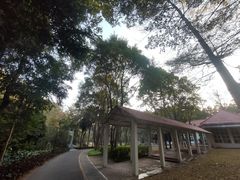 -深圳国际园林花卉博览园