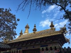 -护国法轮寺