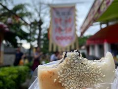 -广东天露山旅游度假区