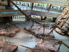 -安徽省地质博物馆