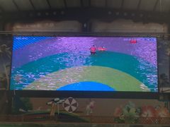 -南宫温泉水世界