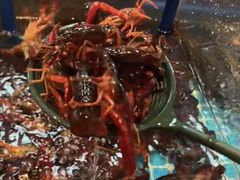 -黑金·寻焰自助百汇·烤肉·火锅(中街店)