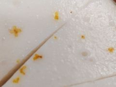 -大鹏饭店·金陵家宴(奥体中心店)