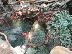 -多彩贵州城极地海洋世界